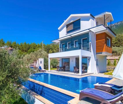 Villa Lady