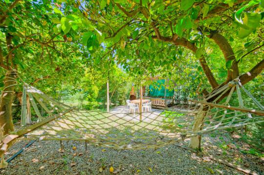 Bungalow Avakado 5