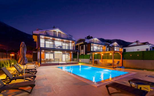 Villa Detay 1