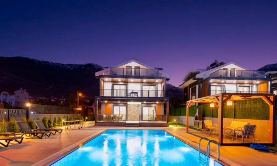 Villa Detay 1